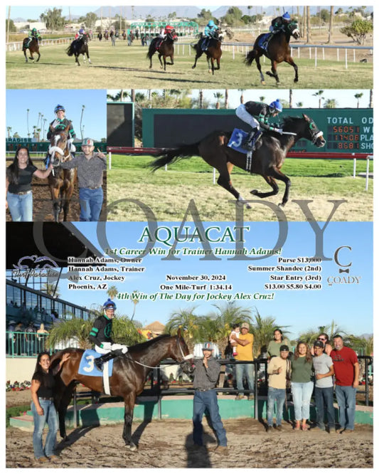 Aquacat - 1St Career Win For Trainer Hannah Adams! 11-30-24 R09 Tup Turf Paradise
