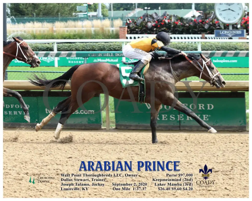 Arabian Prince - 09-02-20 R06 Cd Action Churchill Downs