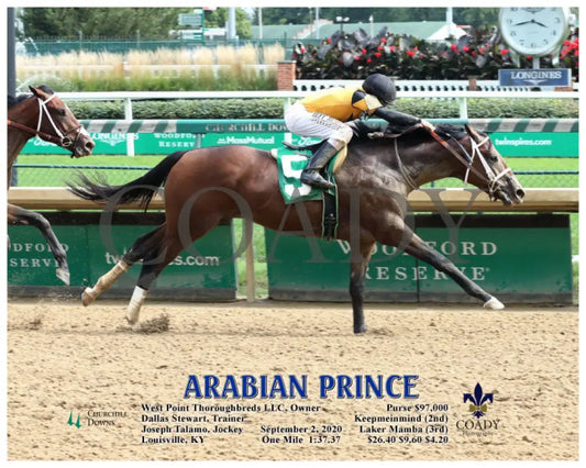 Arabian Prince - 09-02-20 R06 Cd Action Churchill Downs
