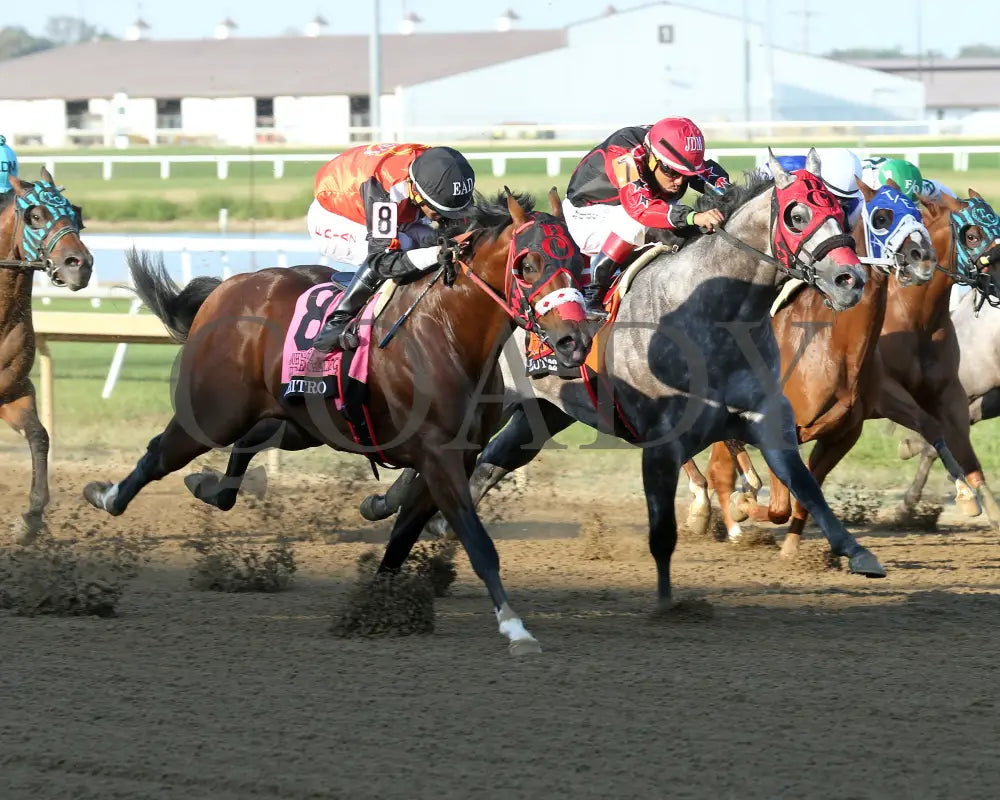 Arbitro - John Deere Juvenile Challenge Final 09-19-24 R09 Horseshoe Indiana Finish 02 Ronald Hisby