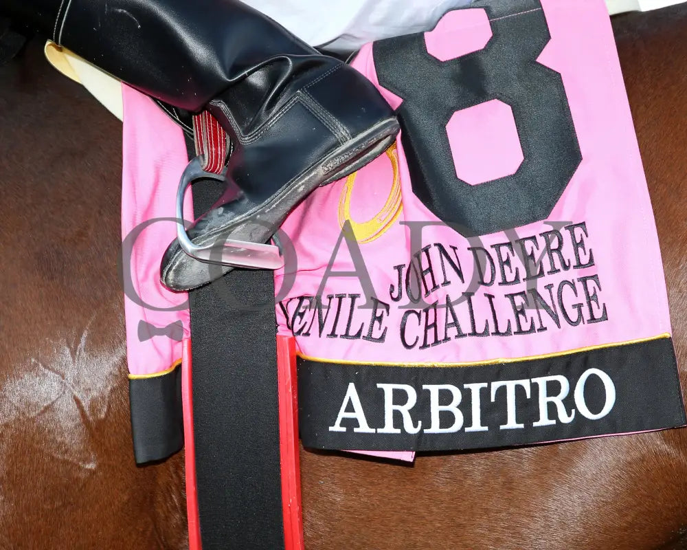 Arbitro - John Deere Juvenile Challenge Final 09-19-24 R09 Horseshoe Indiana Saddle Towel 01