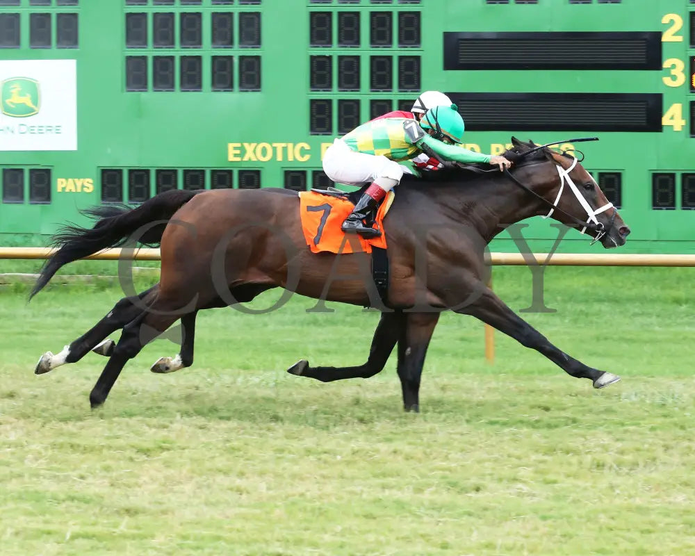 Arklow - 080518 Race 06 Elp Finish 01 Ellis Park