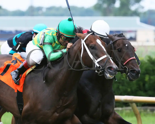 Arklow - 080518 Race 06 Elp Finish 02 Ellis Park