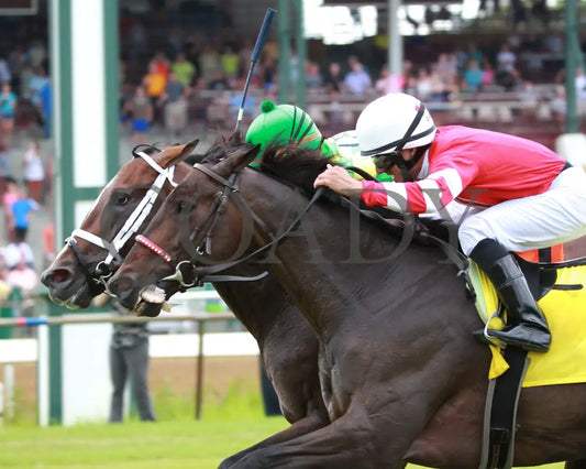 Arklow - 080518 Race 06 Elp Inside Finish 01 Ellis Park