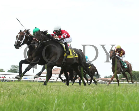 Arklow - 080518 Race 06 Elp Under Rail 01 Ellis Park