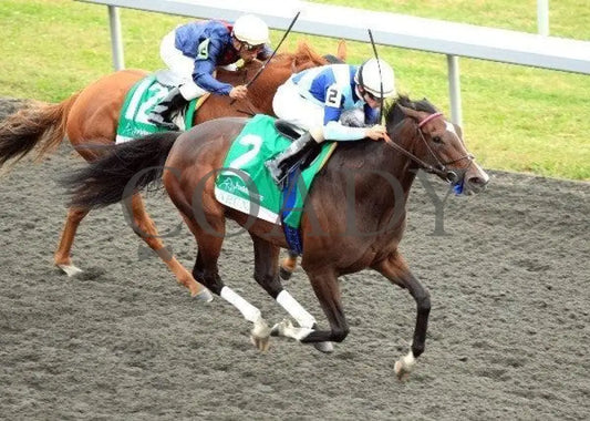 Aruna - Aerial Finish 100911 Race 09 Keeneland