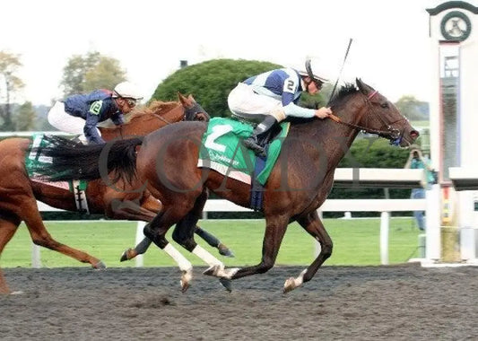 Aruna - Finish 100911 Race 09 Keeneland