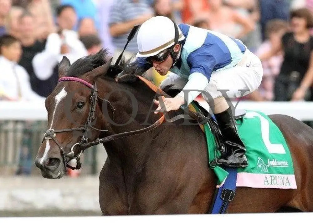 Aruna - Inside Finish 100911 Race 09 Keeneland