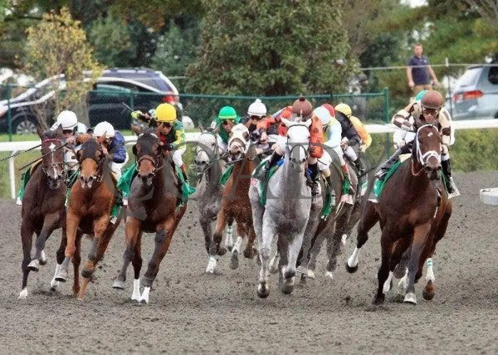 Aruna - Turn 100911 Race 09 Keeneland
