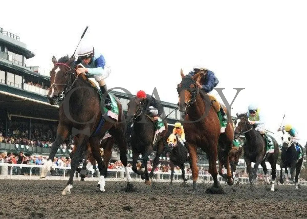 Aruna - Under Rail 100911 Race 09 Keeneland