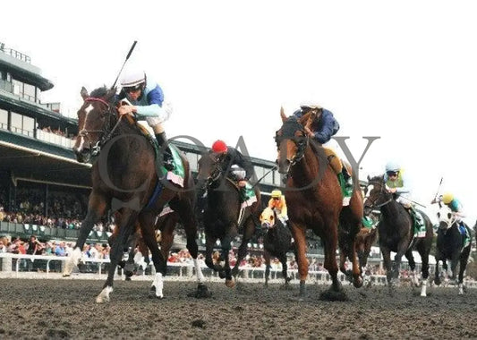 Aruna - Under Rail 100911 Race 09 Keeneland