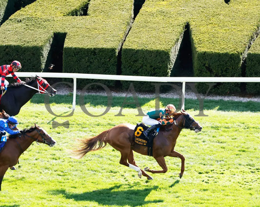 Arzak - The Shakertown G2 04 - 06 - 24 R09 Kee Aerial Finish 01 Keeneland