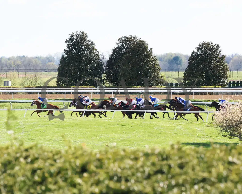 Arzak - The Shakertown G2 04 - 06 - 24 R09 Kee Backstretch 01 Keeneland