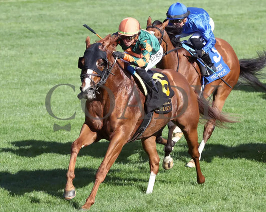 Arzak - The Shakertown G2 04 - 06 - 24 R09 Kee Inside Finish 01 Keeneland