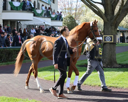Arzak - The Shakertown G2 04 - 06 - 24 R09 Kee Paddock 01 Keeneland
