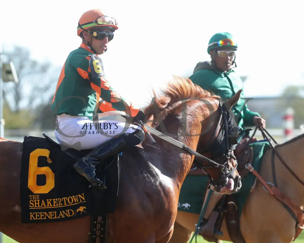 Arzak - The Shakertown G2 04 - 06 - 24 R09 Kee Paddock 03 Keeneland