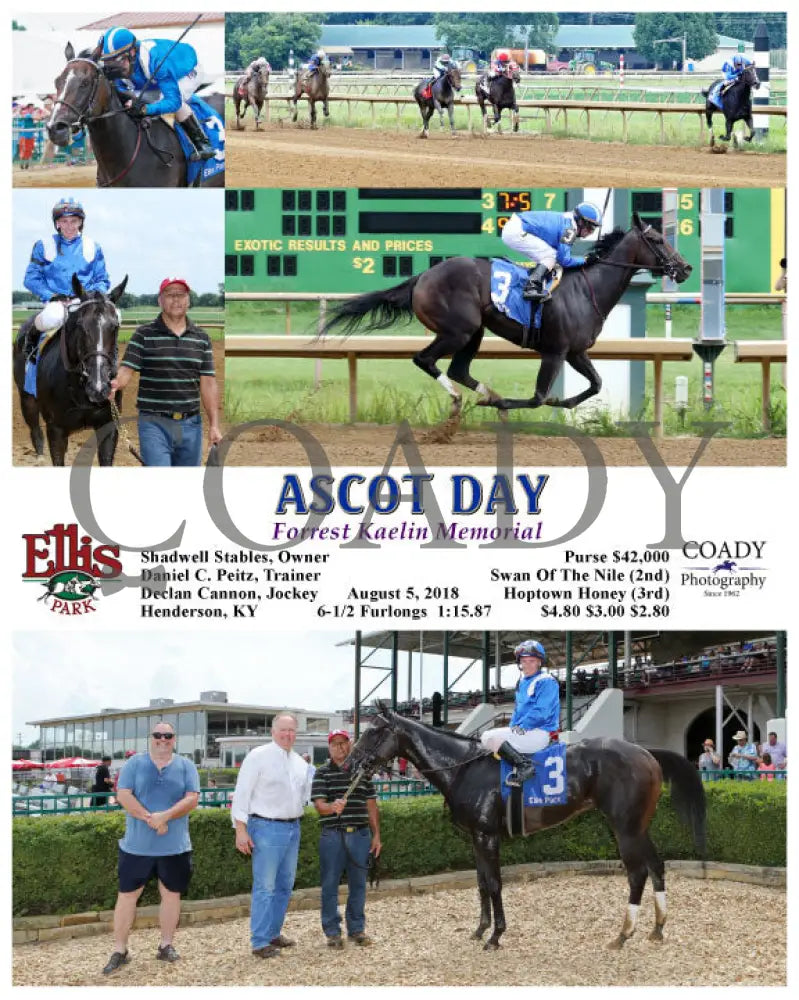 Ascot Day - 080518 Race 04 Elp Ellis Park