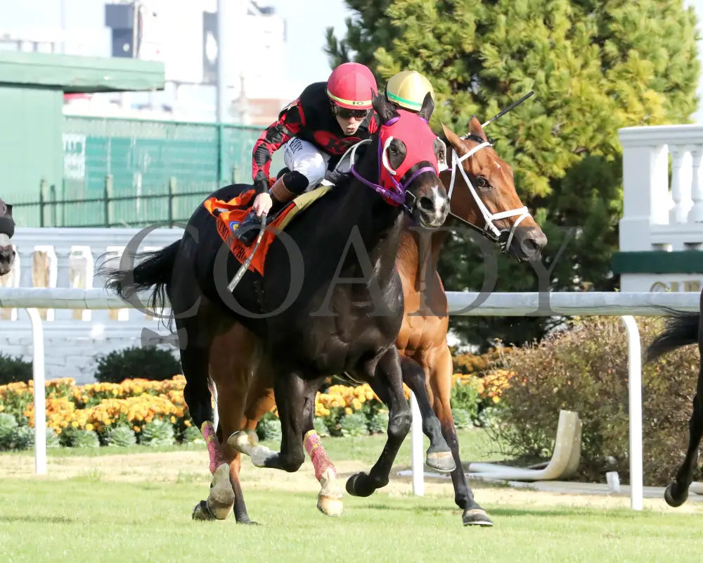 ASHIMA - The Tiara - 11-15-25 - R05 - CD - Finish 02 - Coady Media - Kurtis Coady Photography