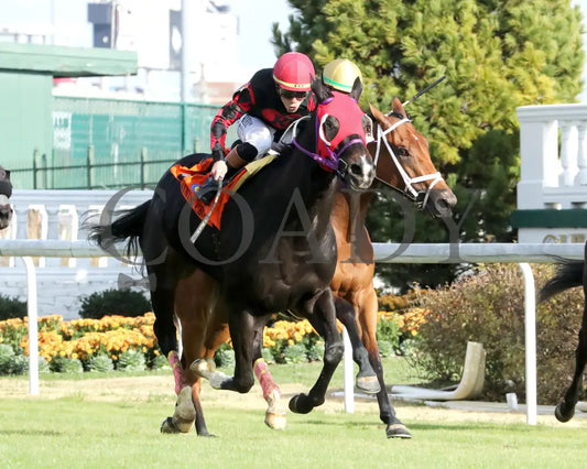 ASHIMA - The Tiara - 11-15-25 - R05 - CD - Finish 02 - Coady Media - Kurtis Coady Photography