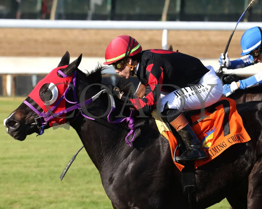 ASHIMA - The Tiara - 11-15-25 - R05 - CD - Inside Finish 03 - Coady Media - Kurtis Coady Photography
