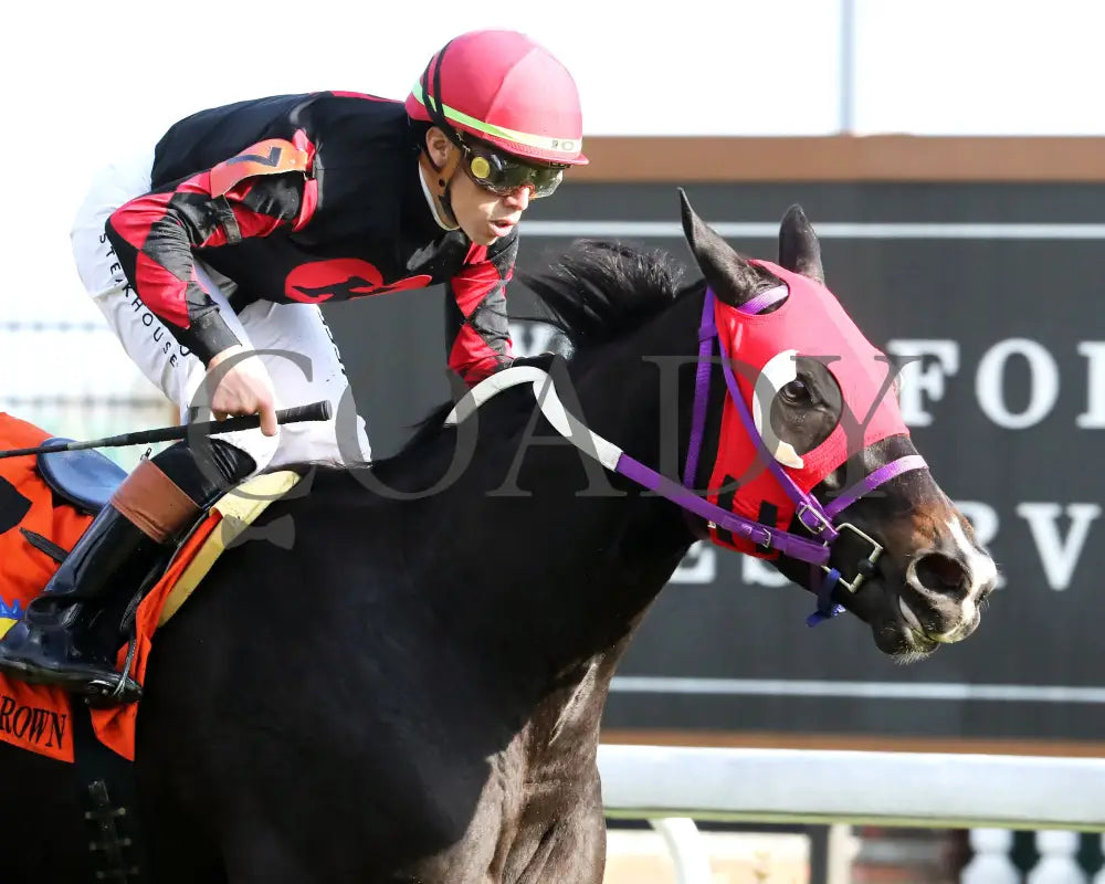 ASHIMA - The Tiara - 11-15-25 - R05 - CD - Tight Finish 01 - Coady Media - Kurtis Coady Photography