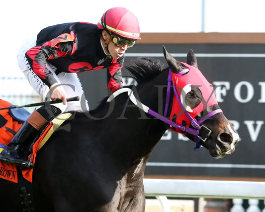 ASHIMA - The Tiara - 11-15-25 - R05 - CD - Tight Finish 01 - Coady Media - Kurtis Coady Photography