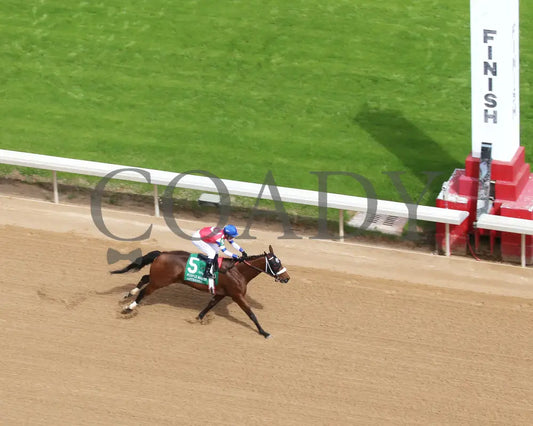 Asternia - The Purple Martin Stakes 22Nd Running 03 - 16 - 24 R07 Op Aerial Finish 01 Oaklawn Park