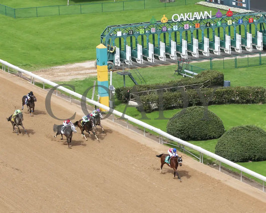 Asternia - The Purple Martin Stakes 22Nd Running 03 - 16 - 24 R07 Op Aerial Finish 02 Oaklawn Park