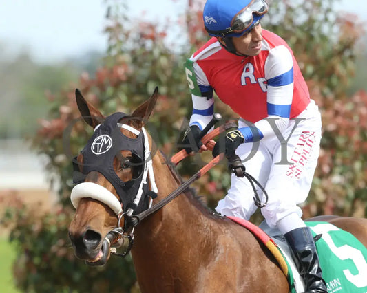 Asternia - The Purple Martin Stakes 22Nd Running 03 - 16 - 24 R07 Op Come Back 01 Oaklawn Park