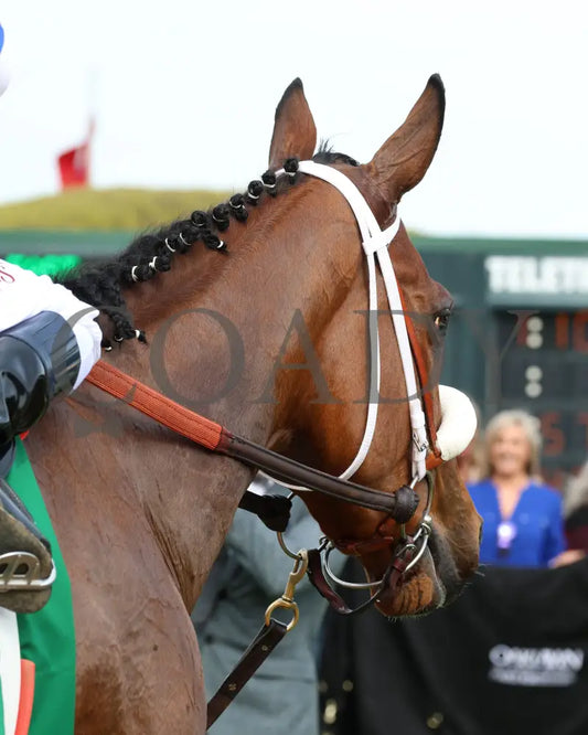 Asternia - The Purple Martin Stakes 22Nd Running 03 - 16 - 24 R07 Op Come Back 02 Oaklawn Park