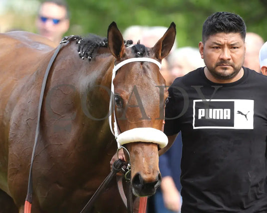 Asternia - The Purple Martin Stakes 22Nd Running 03 - 16 - 24 R07 Op Come Back 04 Oaklawn Park