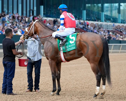 Asternia - The Purple Martin Stakes 22Nd Running 03 - 16 - 24 R07 Op Come Back 03 Oaklawn Park