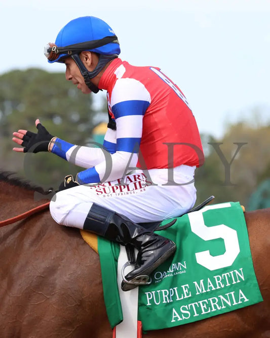Asternia - The Purple Martin Stakes 22Nd Running 03 - 16 - 24 R07 Op Emmanuel Esquivel 02 Oaklawn
