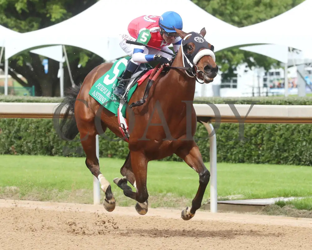Asternia - The Purple Martin Stakes 22Nd Running 03 - 16 - 24 R07 Op Finish 02 Oaklawn Park