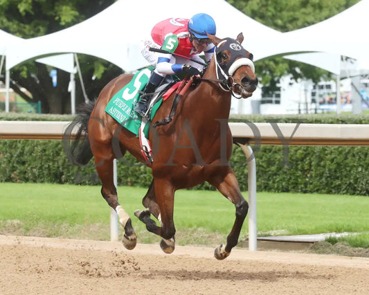 Asternia - The Purple Martin Stakes 22Nd Running 03 - 16 - 24 R07 Op Finish 02 Oaklawn Park