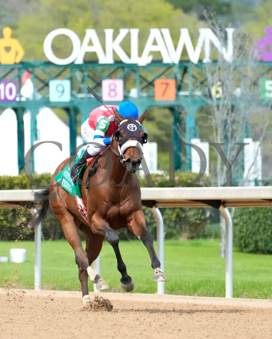 Asternia - The Purple Martin Stakes 22Nd Running 03 - 16 - 24 R07 Op Finish 03 Oaklawn Park