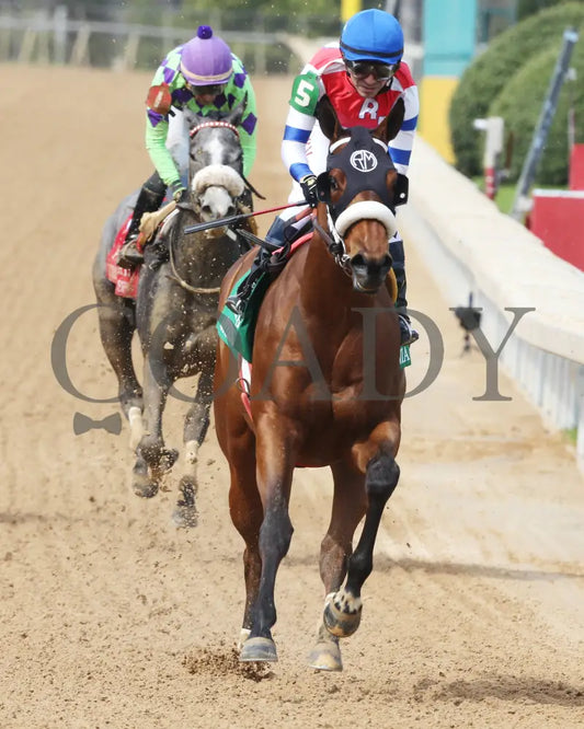 Asternia - The Purple Martin Stakes 22Nd Running 03 - 16 - 24 R07 Op Gallop Out 01 Oaklawn Park