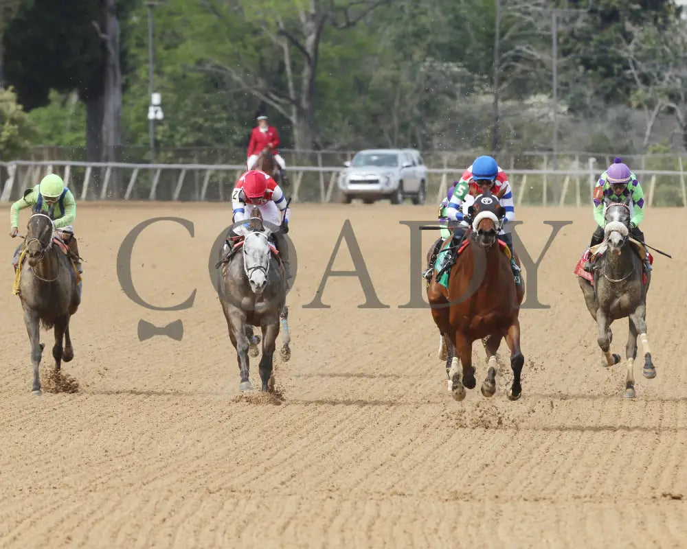 Asternia - The Purple Martin Stakes 22Nd Running 03 - 16 - 24 R07 Op Head On 01 Oaklawn Park