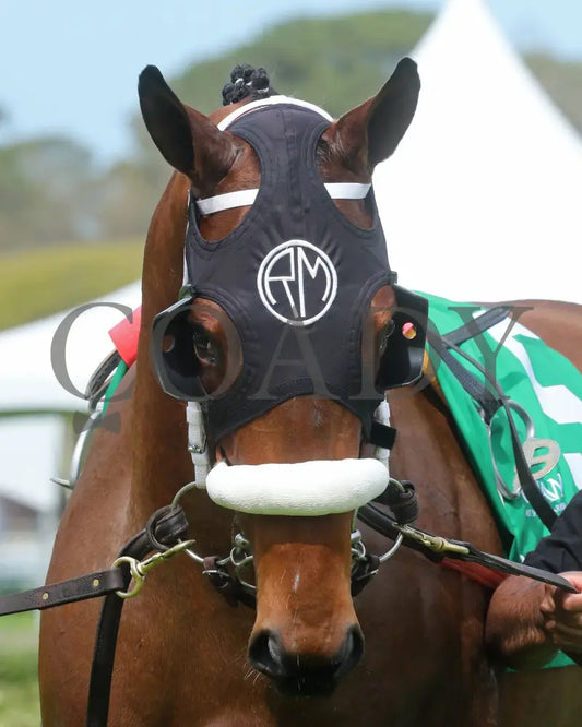 Asternia - The Purple Martin Stakes 22Nd Running 03 - 16 - 24 R07 Op Paddock 01 Oaklawn Park