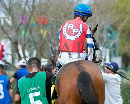 Asternia - The Purple Martin Stakes 22Nd Running 03 - 16 - 24 R07 Op Paddock 04 Oaklawn Park