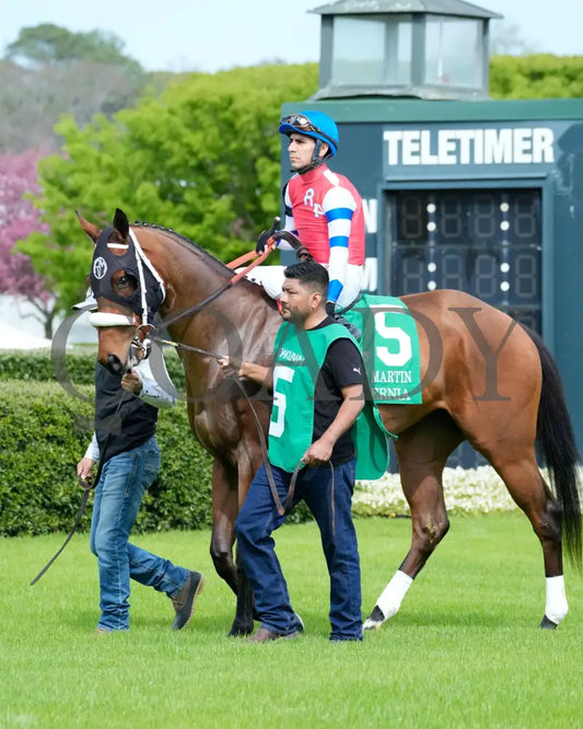 Asternia - The Purple Martin Stakes 22Nd Running 03 - 16 - 24 R07 Op Paddock 03 Oaklawn Park