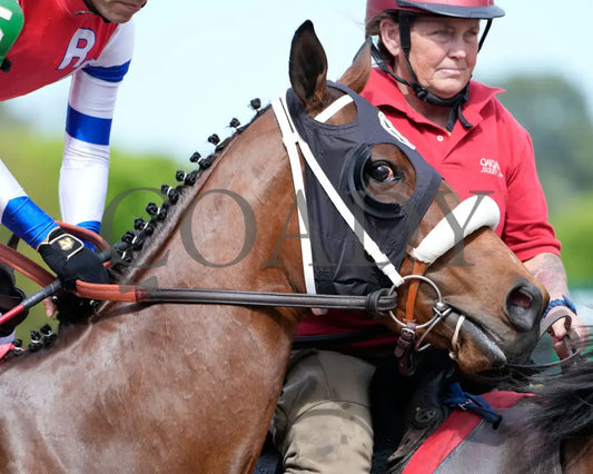 Asternia - The Purple Martin Stakes 22Nd Running 03 - 16 - 24 R07 Op Post Parade 01 Oaklawn Park