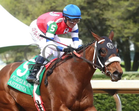 Asternia - The Purple Martin Stakes 22Nd Running 03 - 16 - 24 R07 Op Tight Finish 02 Oaklawn Park