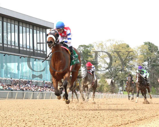 Asternia - The Purple Martin Stakes 22Nd Running 03 - 16 - 24 R07 Op Under Rail 01 Oaklawn Park