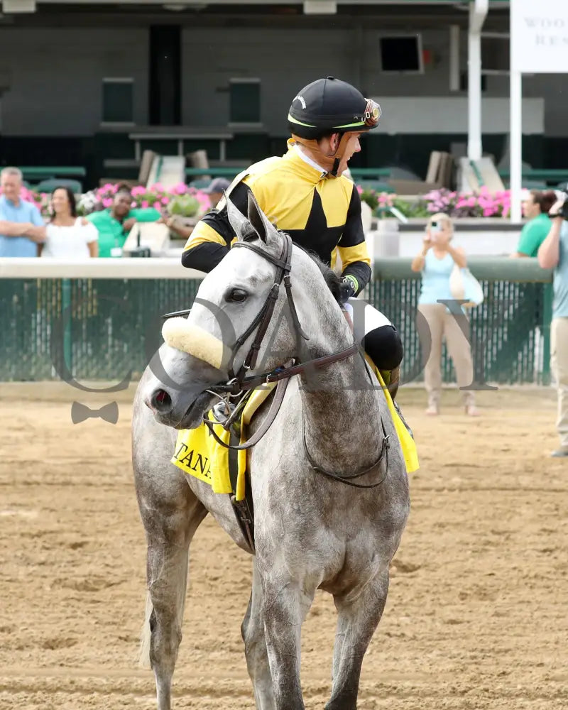 Atomic Blonde - The Keertana 11Th Running 05-25-24 R10 Cd Come Back 03 Churchill Downs