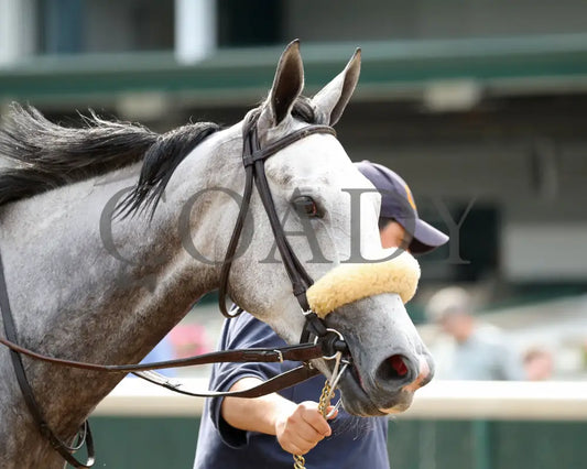 Atomic Blonde - The Keertana 11Th Running 05-25-24 R10 Cd Come Back 06 Churchill Downs