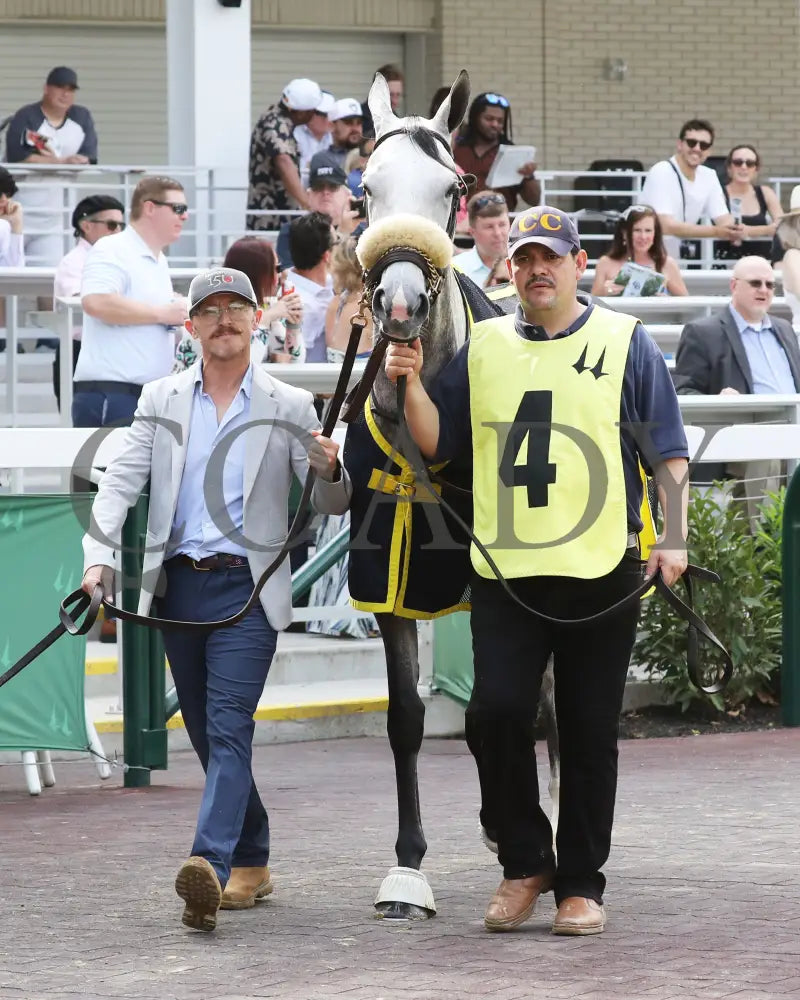 Atomic Blonde - The Keertana 11Th Running 05-25-24 R10 Cd Paddock 01 Churchill Downs