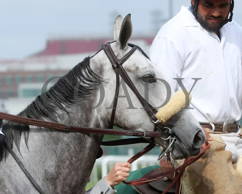 Atomic Blonde - The Keertana 11Th Running 05-25-24 R10 Cd Post Parade 03 Churchill Downs