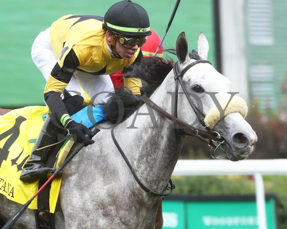 Atomic Blonde - The Keertana 11Th Running 05-25-24 R10 Cd Tight Finish 01 Churchill Downs