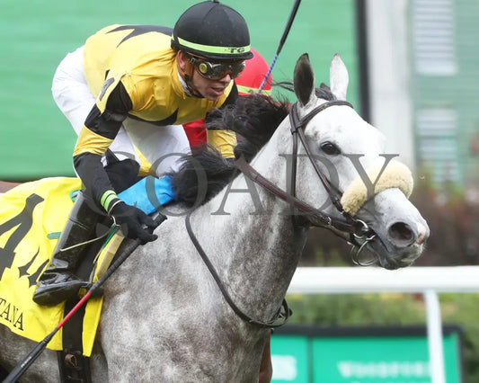 Atomic Blonde - The Keertana 11Th Running 05-25-24 R10 Cd Tight Finish 01 Churchill Downs
